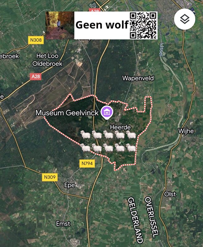 Afbeelding