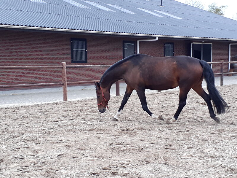 Afbeelding