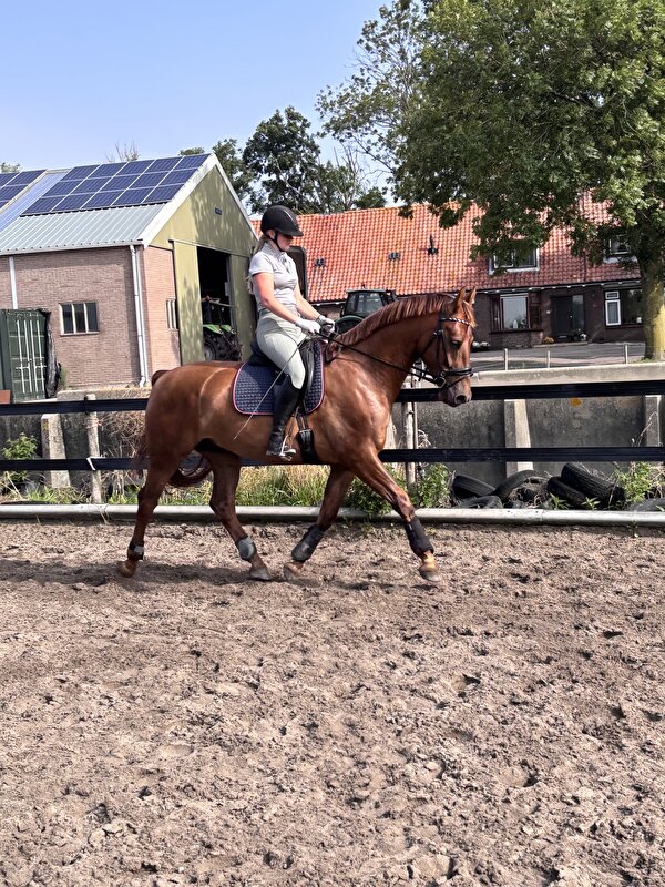 Afbeelding