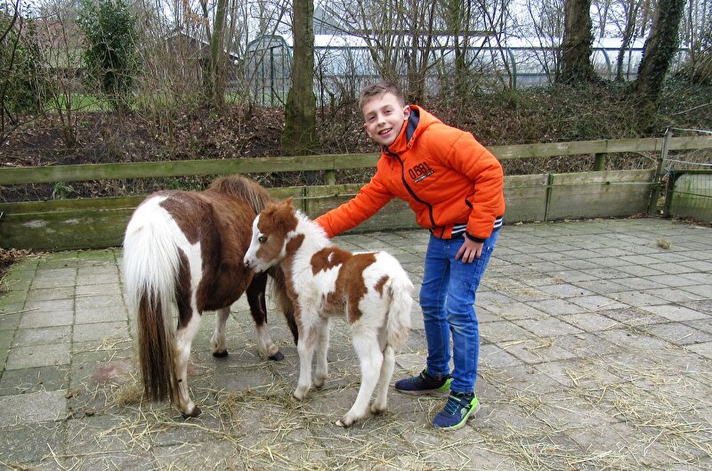Afbeelding