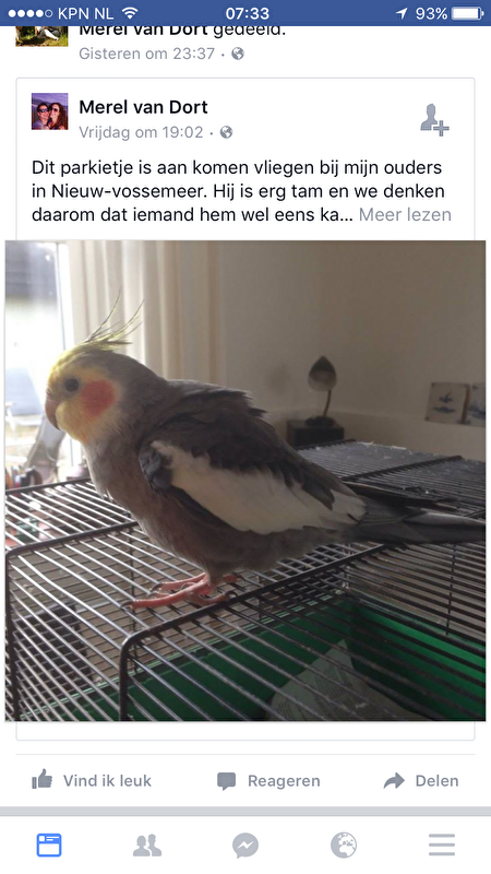 Afbeelding