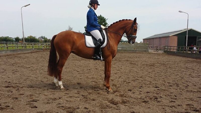 Afbeelding
