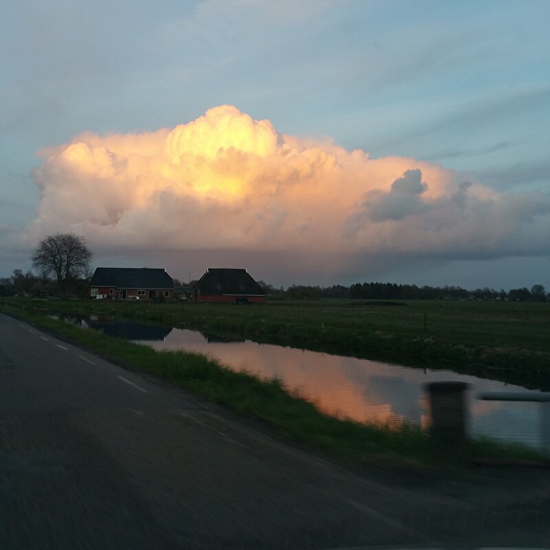 Afbeelding