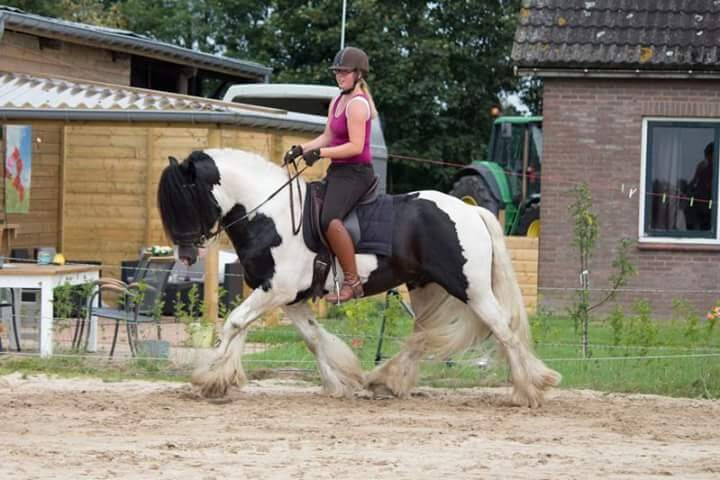 Afbeelding