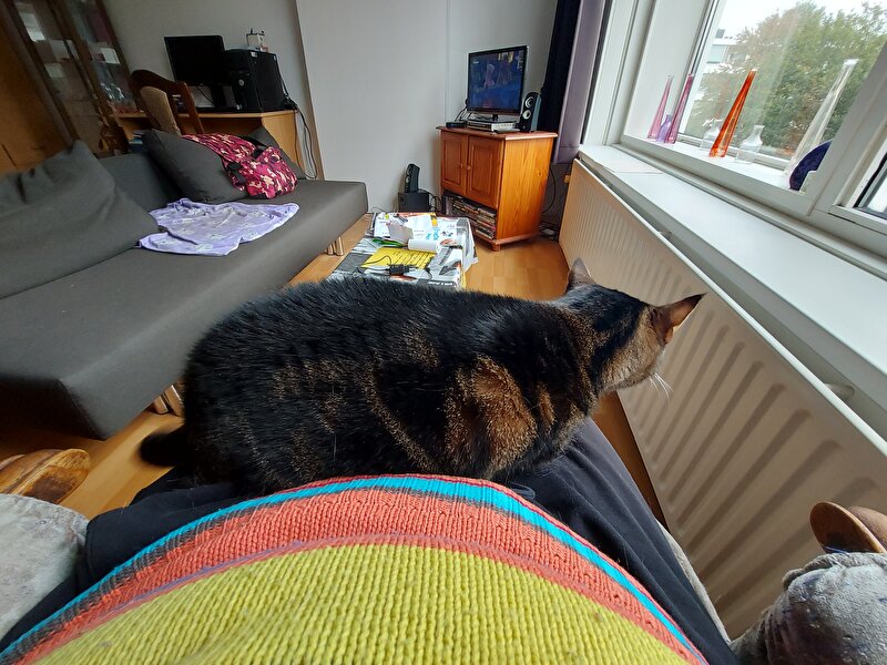 Afbeelding