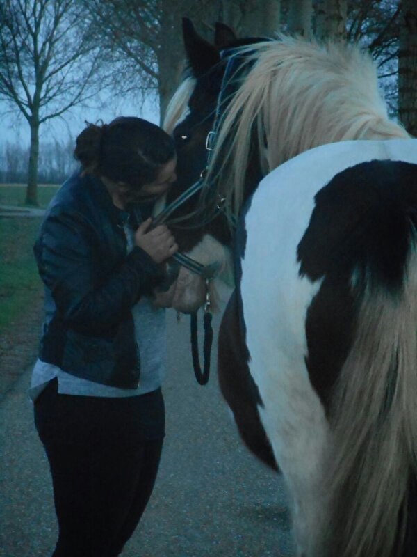 Afbeelding