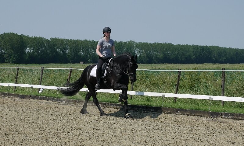 Afbeelding