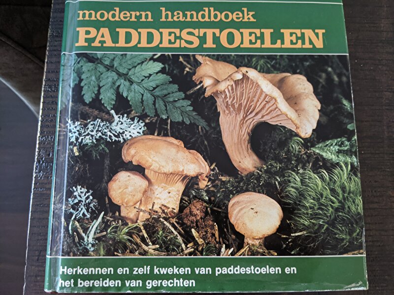 Afbeelding
