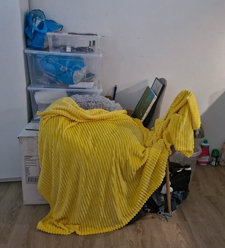 Afbeelding