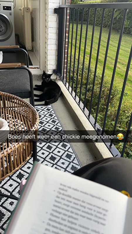 Afbeelding