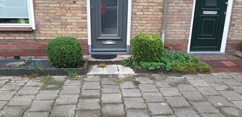 Afbeelding