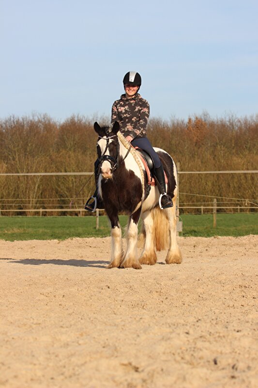 Afbeelding