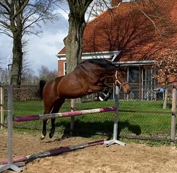 Afbeelding