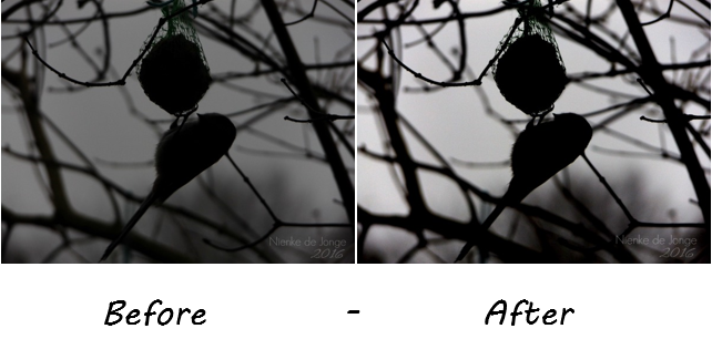 Afbeelding