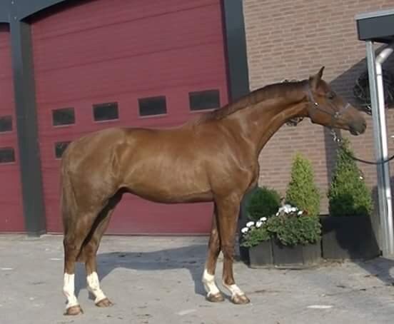 Afbeelding