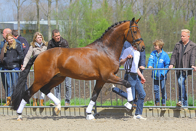Afbeelding