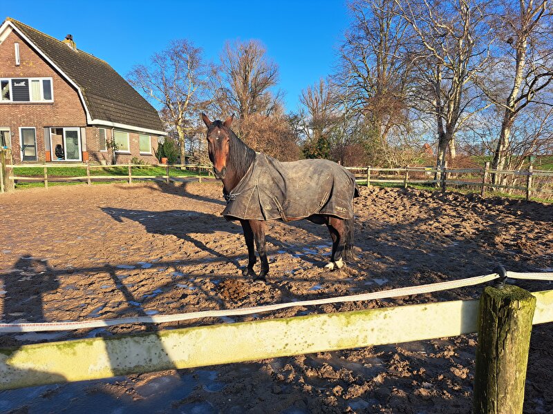 Afbeelding