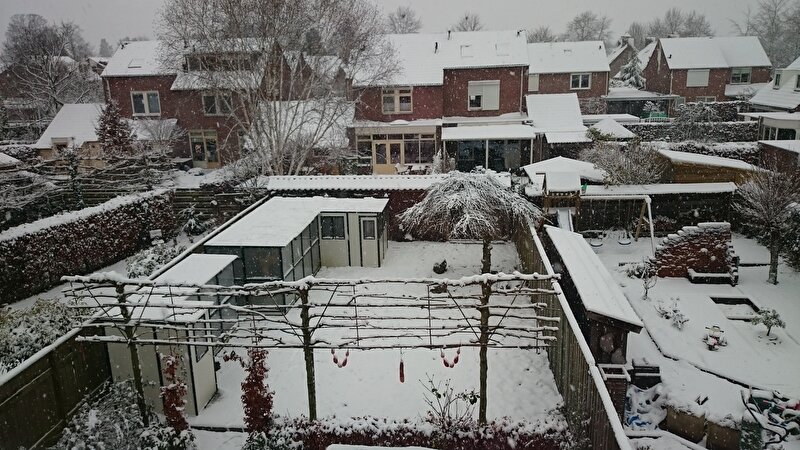 Afbeelding