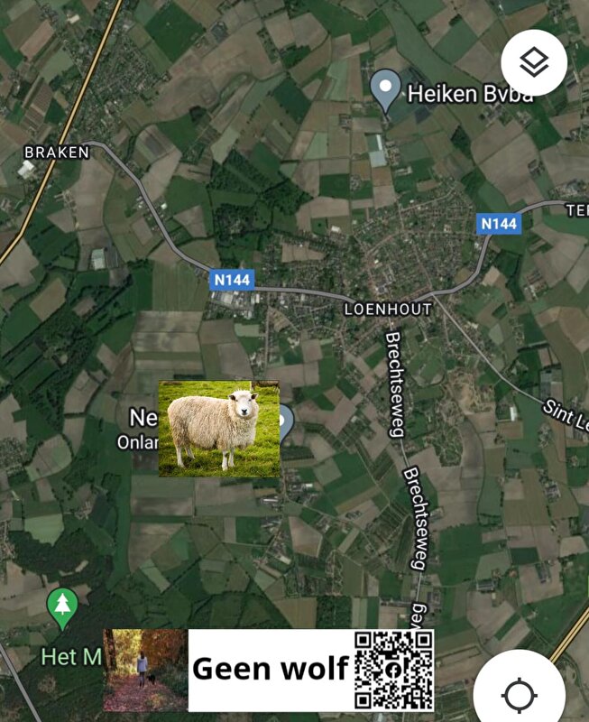 Afbeelding