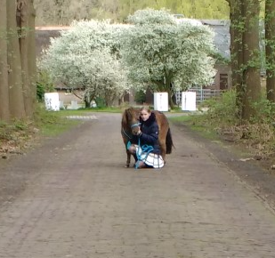 Afbeelding