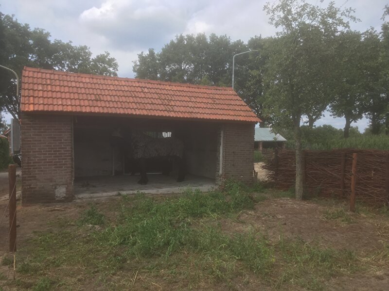 Afbeelding