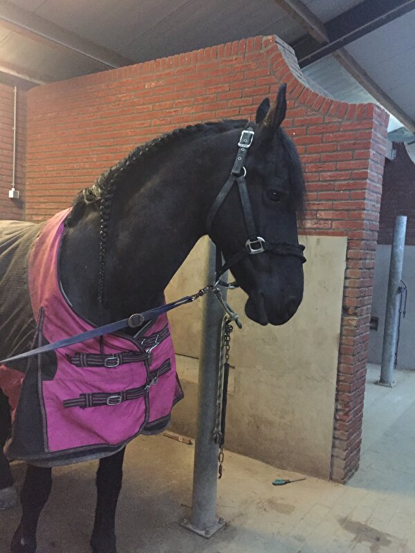 Afbeelding