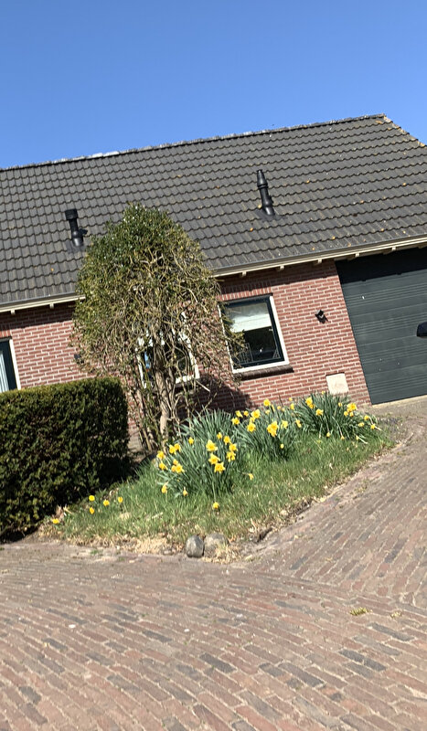 Afbeelding