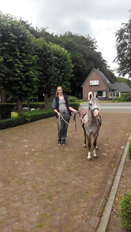 Afbeelding