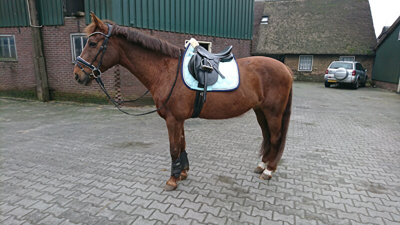 Afbeelding