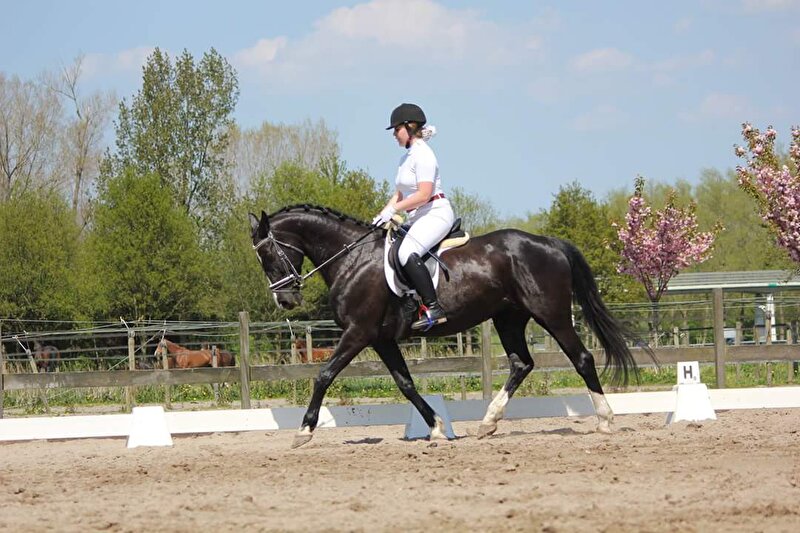 Afbeelding