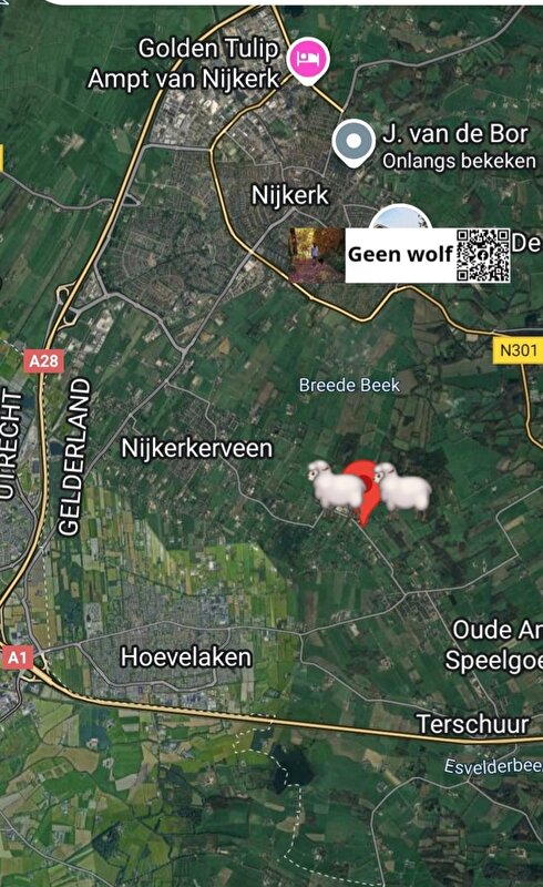 Afbeelding