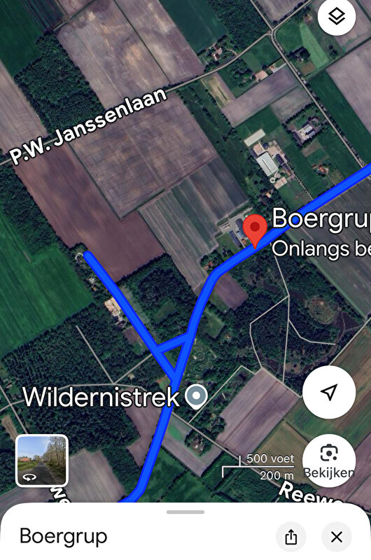 Afbeelding