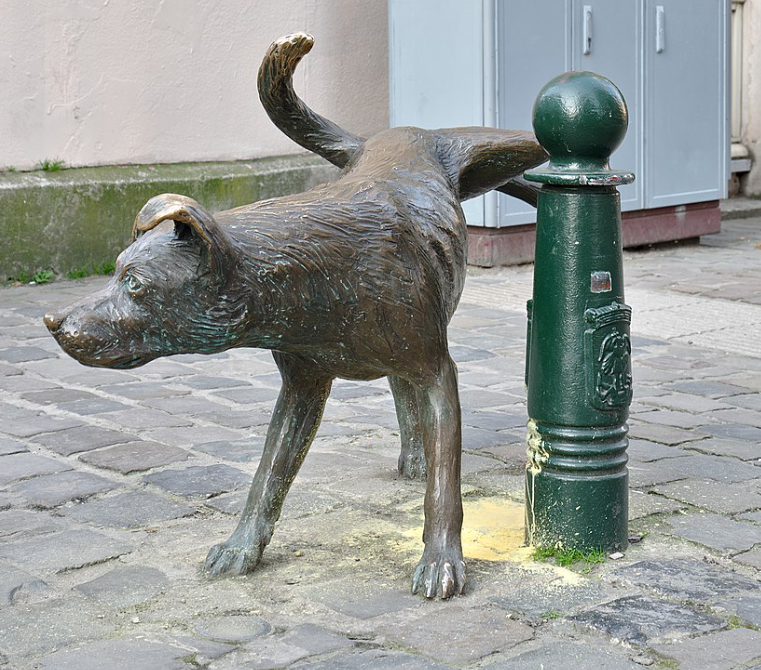 Afbeelding