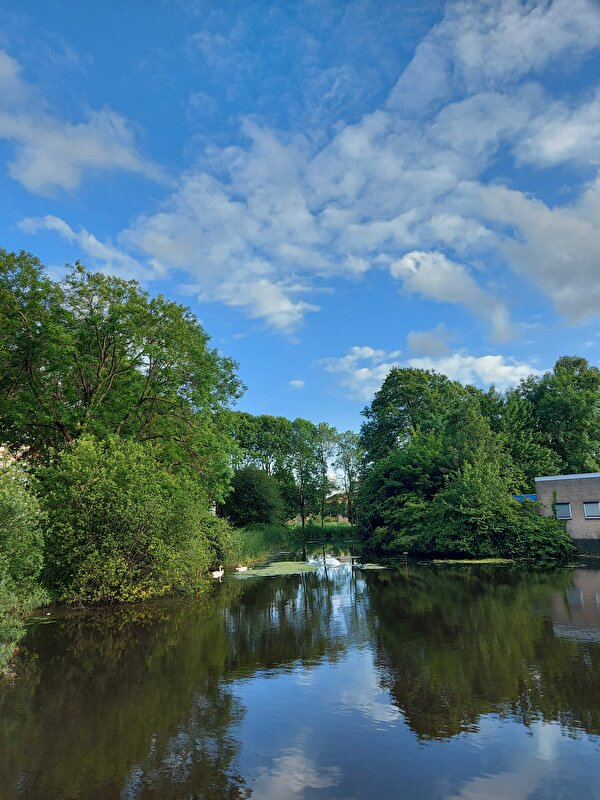Afbeelding