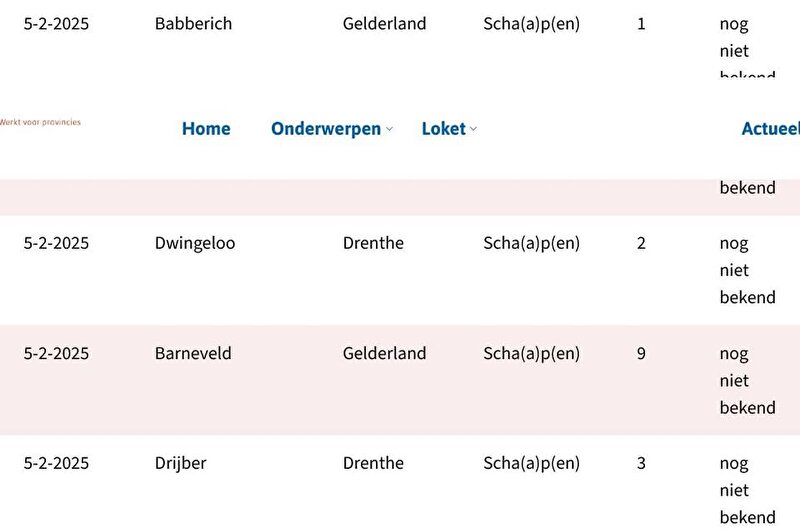 Afbeelding