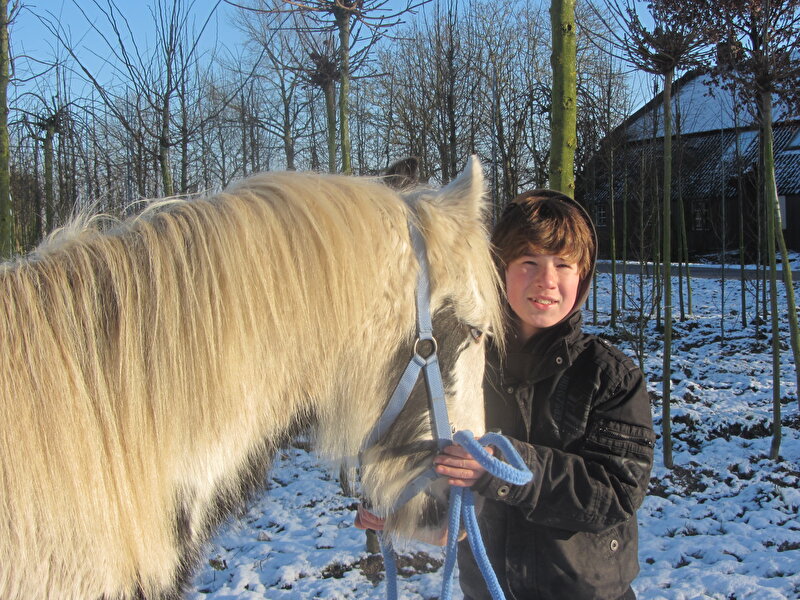 Afbeelding