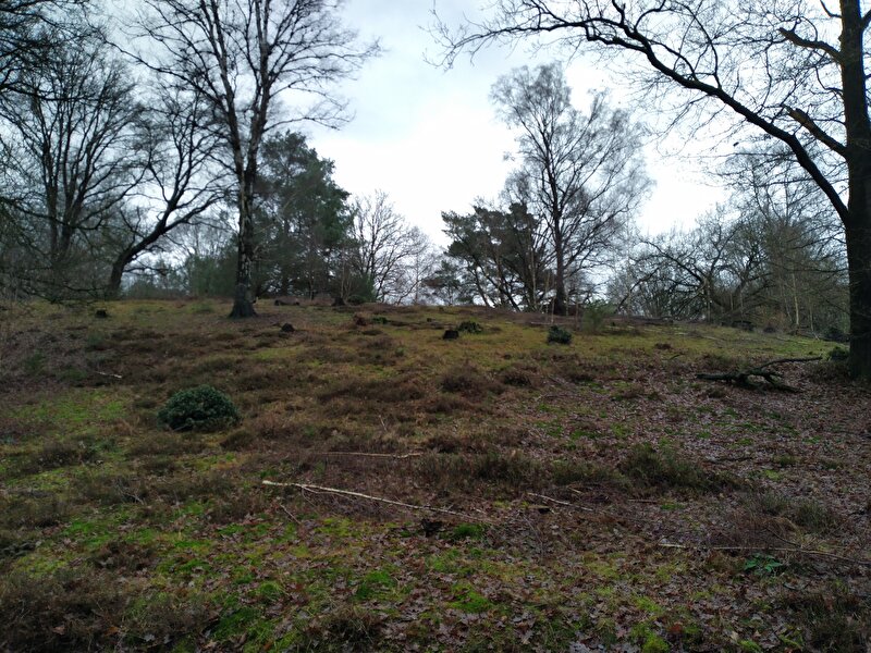Afbeelding