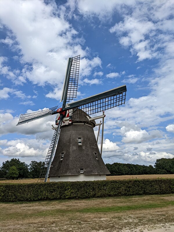 Afbeelding