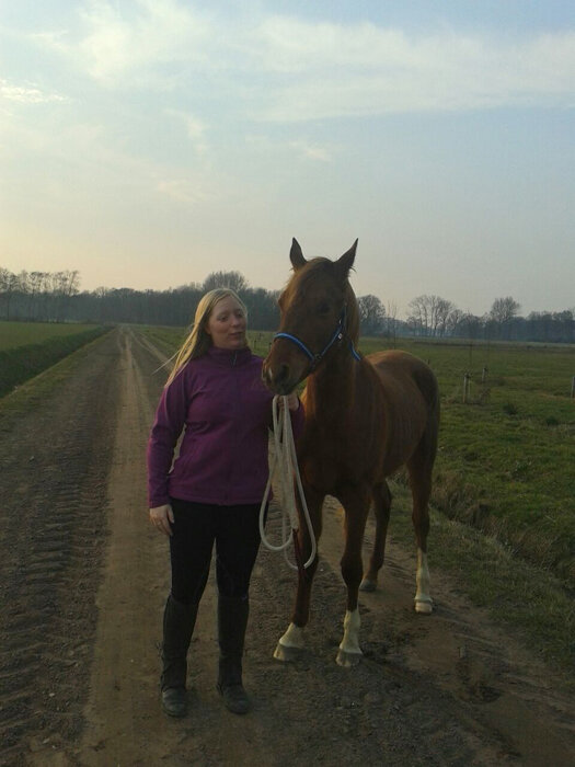 Afbeelding
