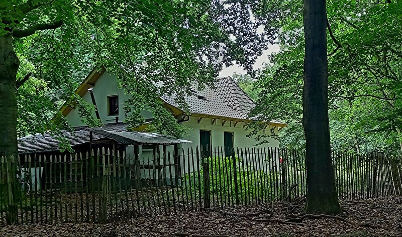 Afbeelding