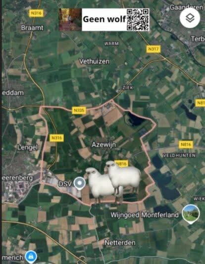 Afbeelding