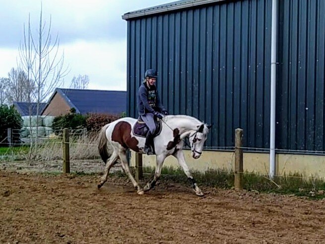 Afbeelding