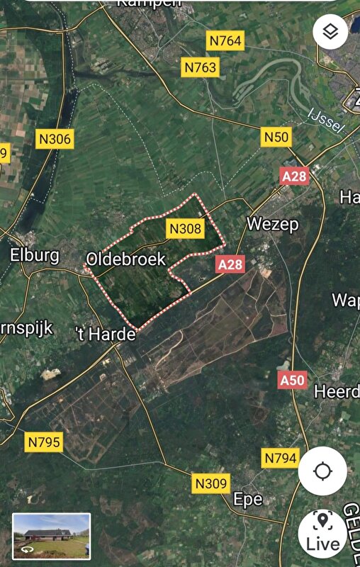 Afbeelding
