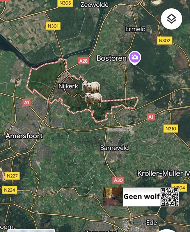 Afbeelding