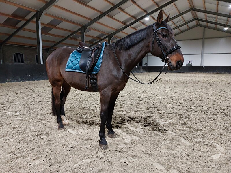 Afbeelding