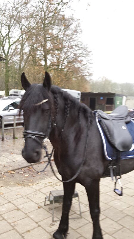 Afbeelding