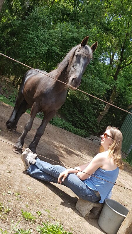 Afbeelding
