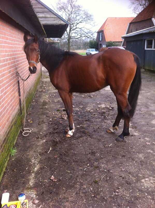Afbeelding