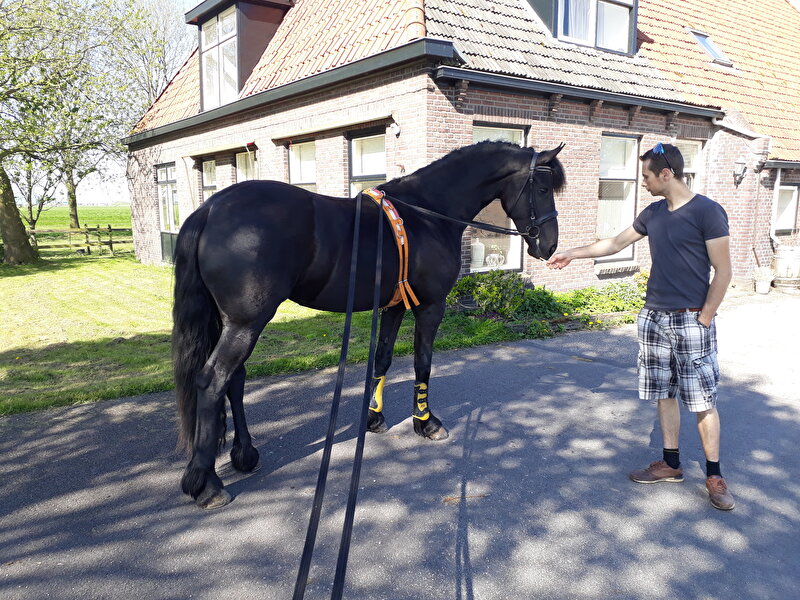 Afbeelding