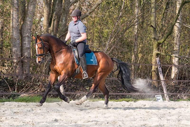 Afbeelding